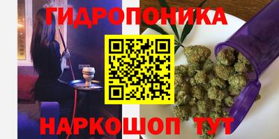 каннабис Будённовск
