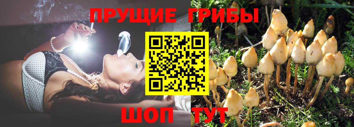 магазин продажи   Вход с VPN  Углич  Псилоцибиновые грибы ЛСД 